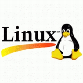 2365 - Ethernet/Linux 